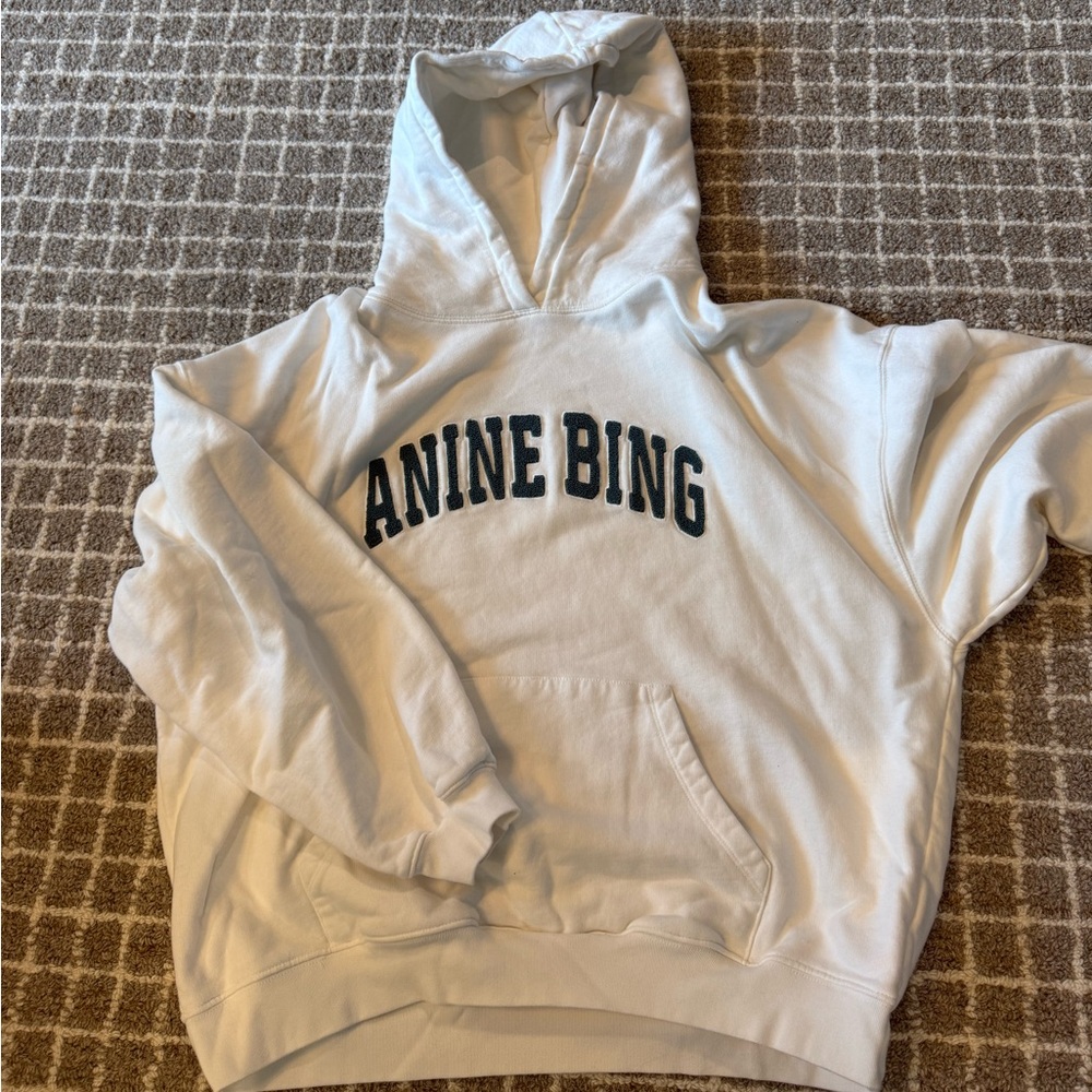 Anine bing hoodie